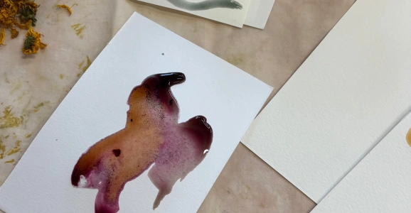 Draw and paint with natural inks